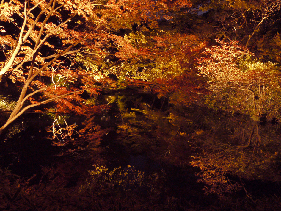 ファイル 1995-3.jpg