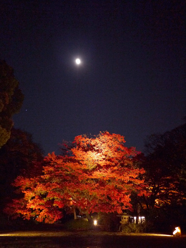 ファイル 1995-5.jpg