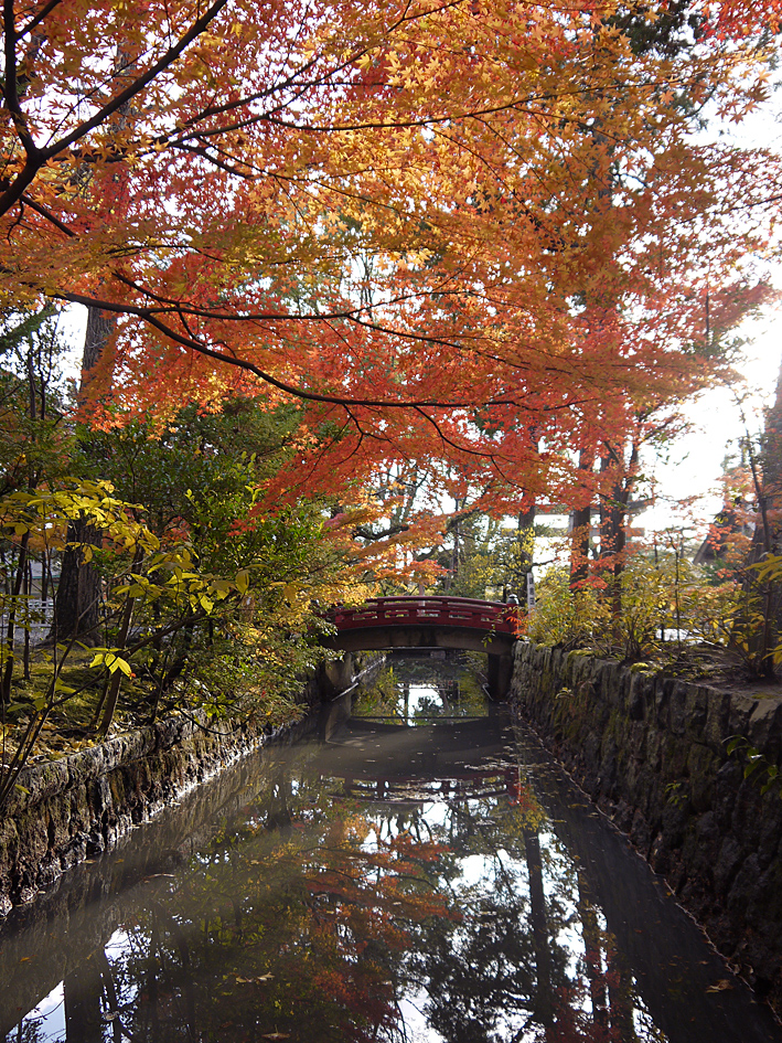 ファイル 1999-2.jpg