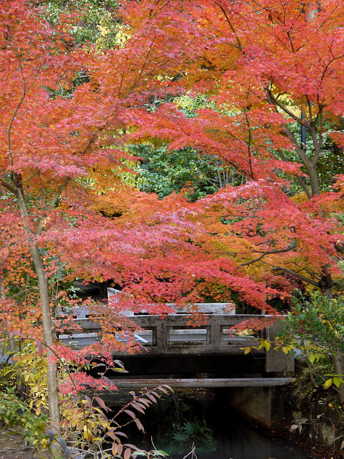 ファイル 1999-3.jpg