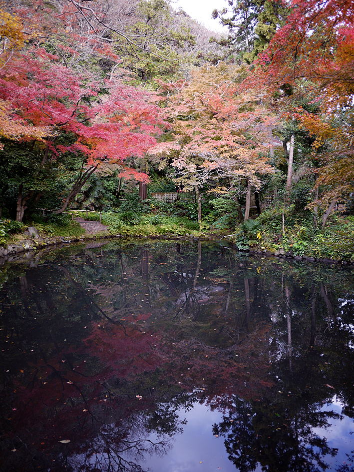 ファイル 1999-4.jpg