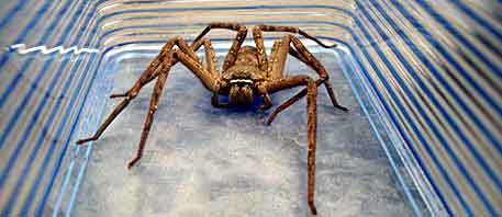 ファイル 200-1.jpg