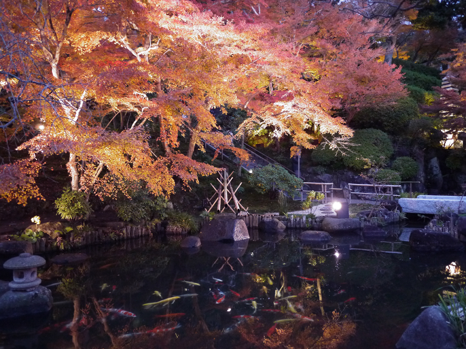 ファイル 2000-2.jpg