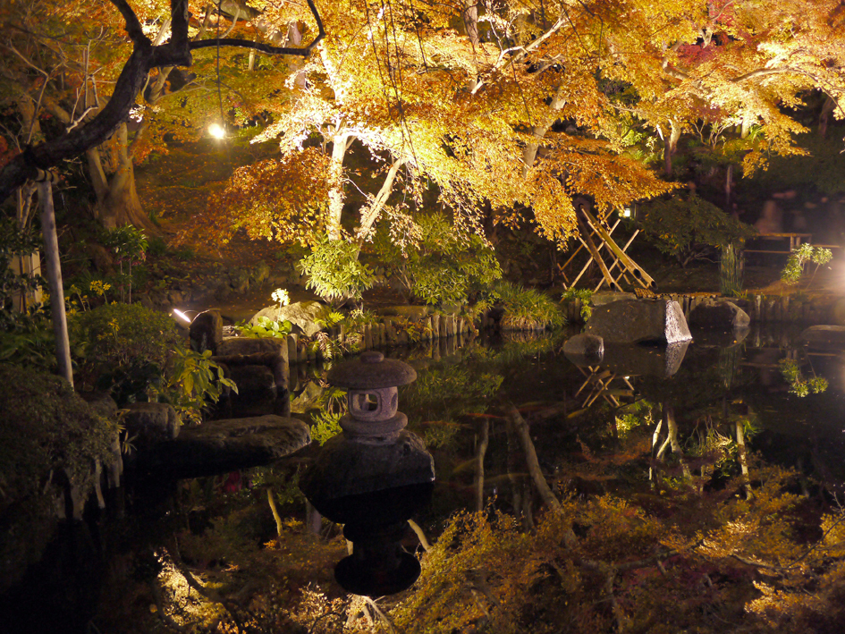 ファイル 2000-3.jpg