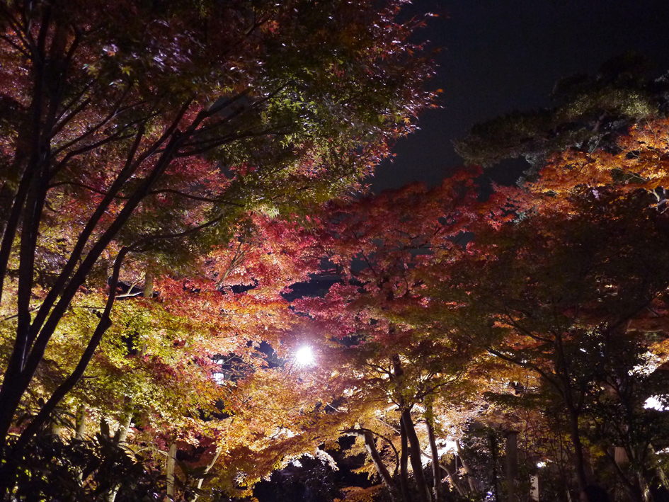 ファイル 2000-4.jpg