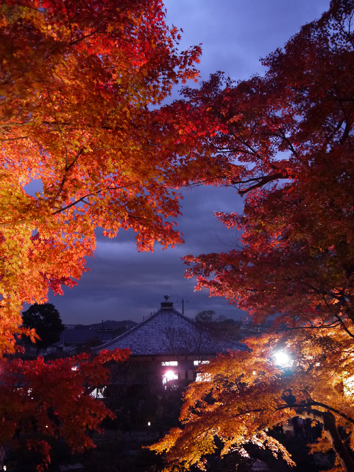 ファイル 2000-5.jpg