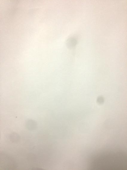 ファイル 2042-3.jpg