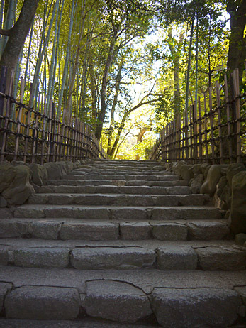 ファイル 2056-2.jpg