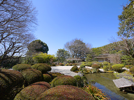 ファイル 2056-5.jpg