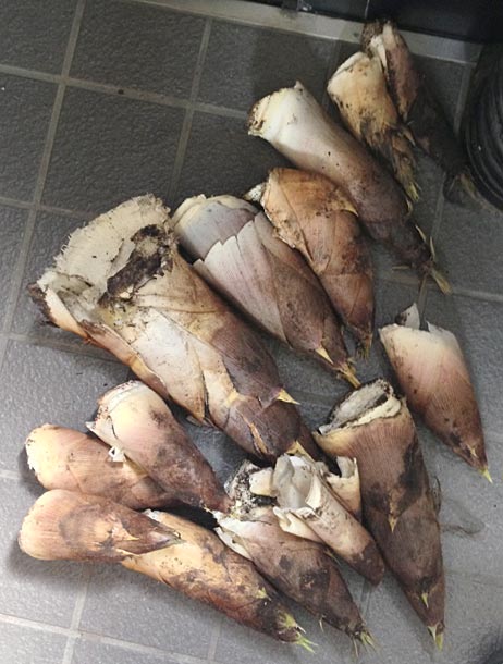 ファイル 2062-2.jpg