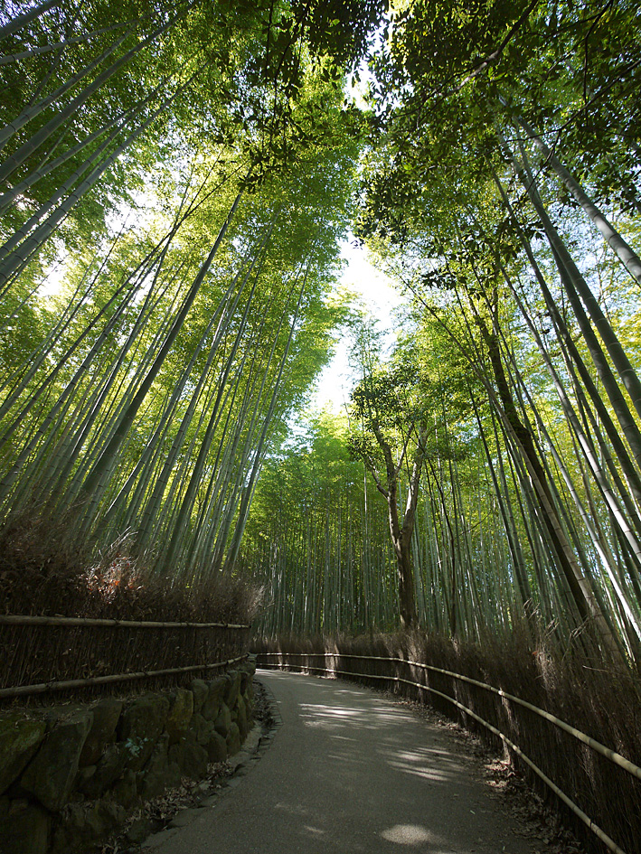 ファイル 2069-3.jpg