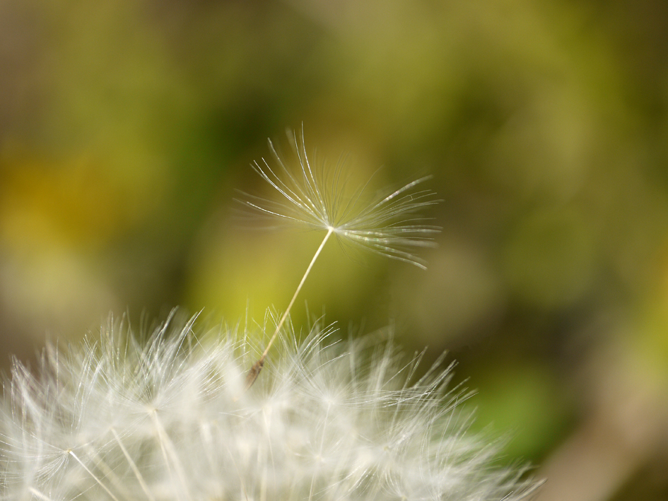 ファイル 2075-2.jpg