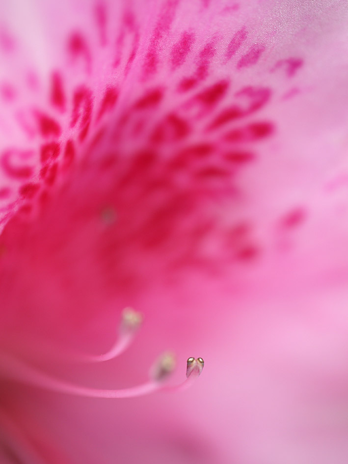 ファイル 2075-4.jpg