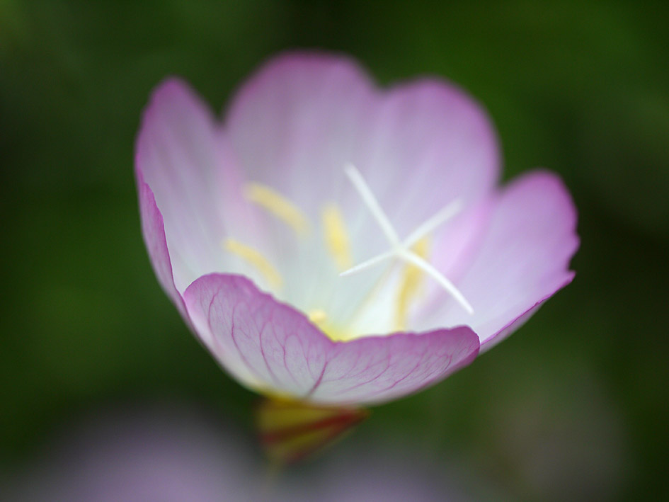 ファイル 2075-5.jpg