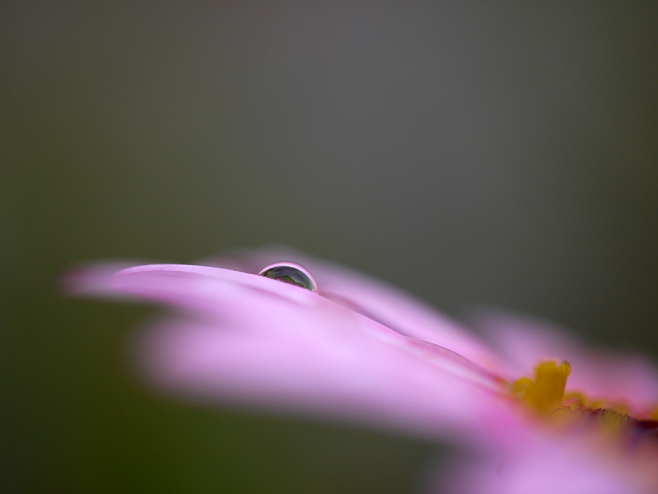 ファイル 2076-3.jpg