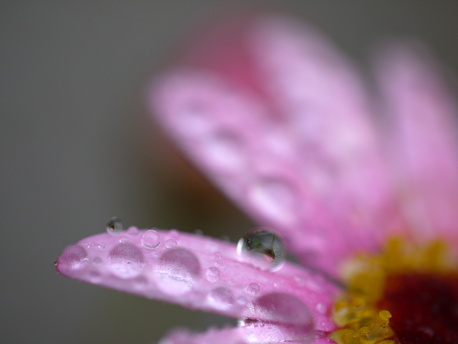 ファイル 2076-4.jpg