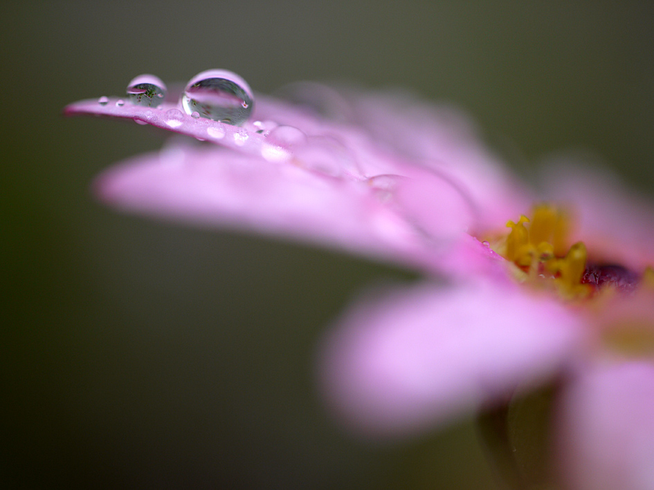 ファイル 2076-5.jpg