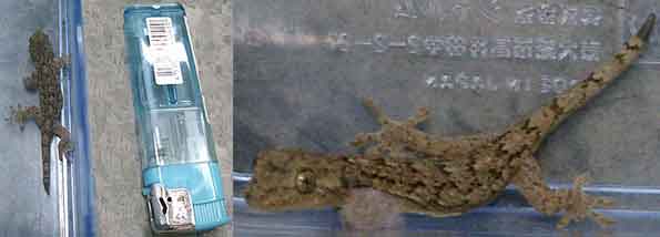 ファイル 210-1.jpg