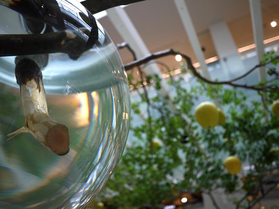 ファイル 2105-2.jpg