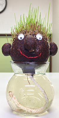 ファイル 2106-3.jpg