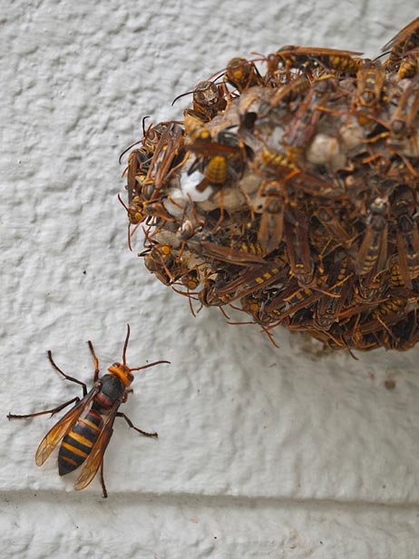 ファイル 2135-3.jpg