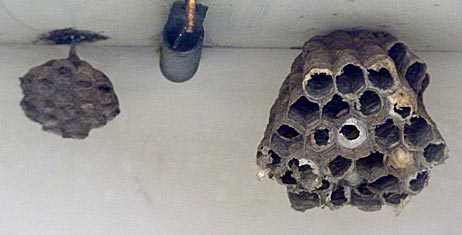 ファイル 2135-4.jpg