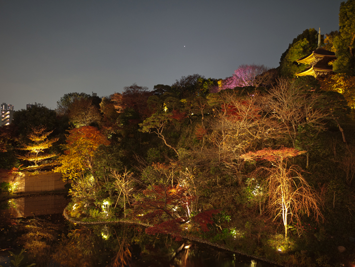 ファイル 2179-2.jpg