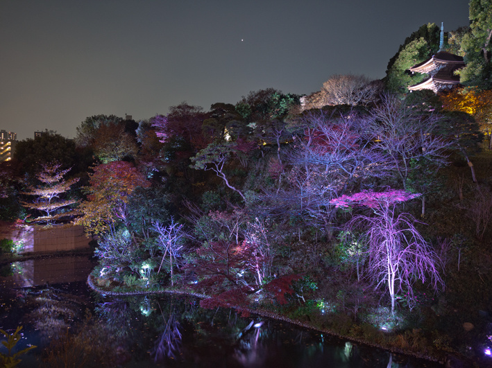 ファイル 2179-3.jpg