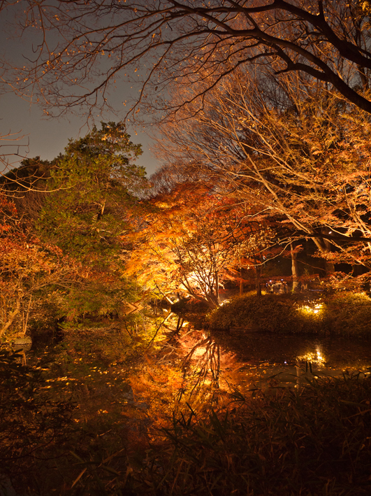 ファイル 2179-4.jpg