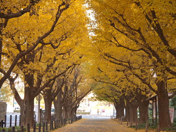 ファイル 2180-2.jpg