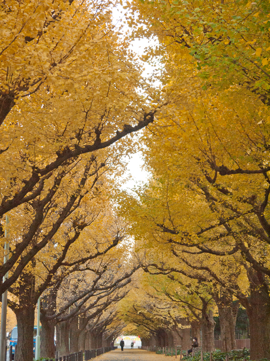 ファイル 2180-4.jpg