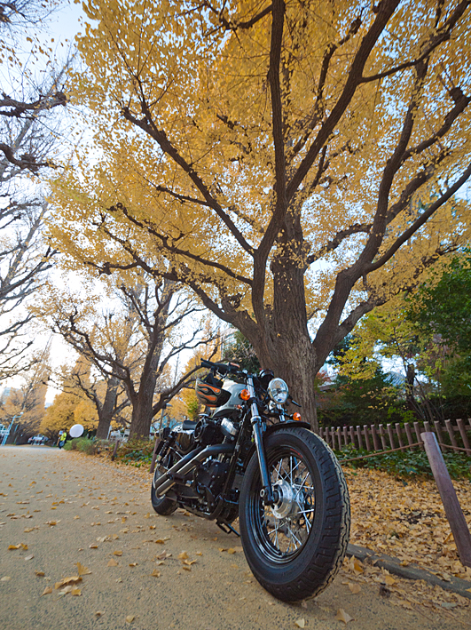 ファイル 2180-5.jpg