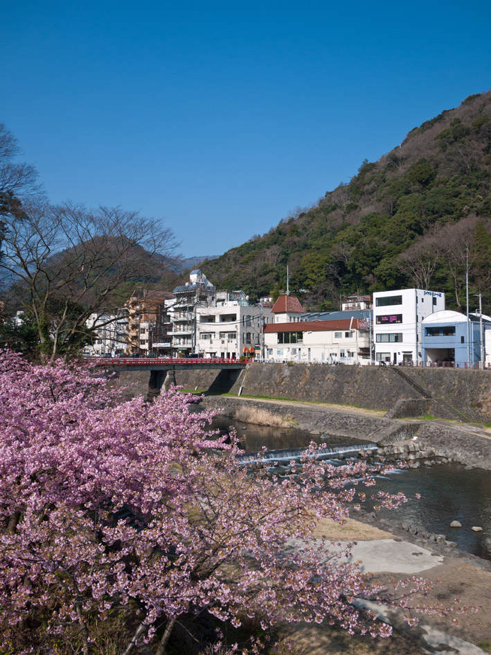 ファイル 2235-2.jpg