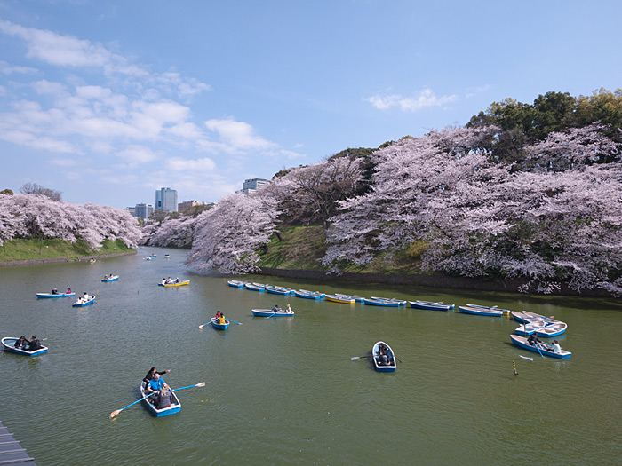 ファイル 2241-2.jpg