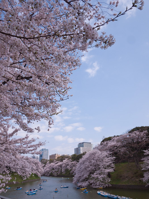 ファイル 2241-3.jpg