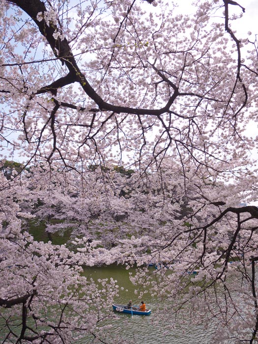 ファイル 2241-4.jpg