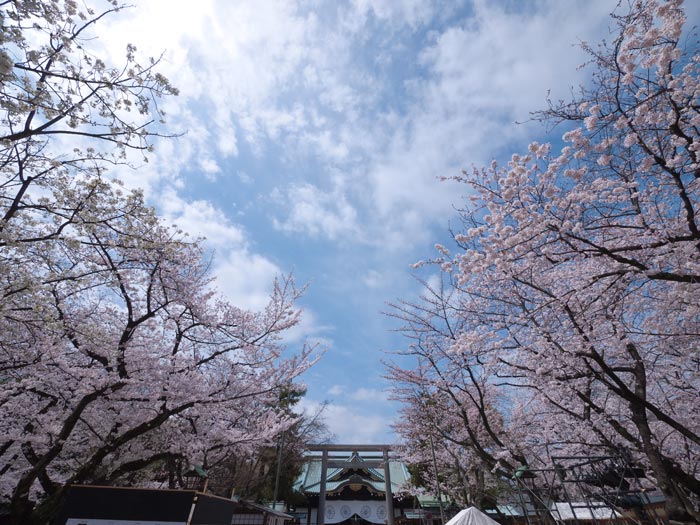 ファイル 2242-2.jpg