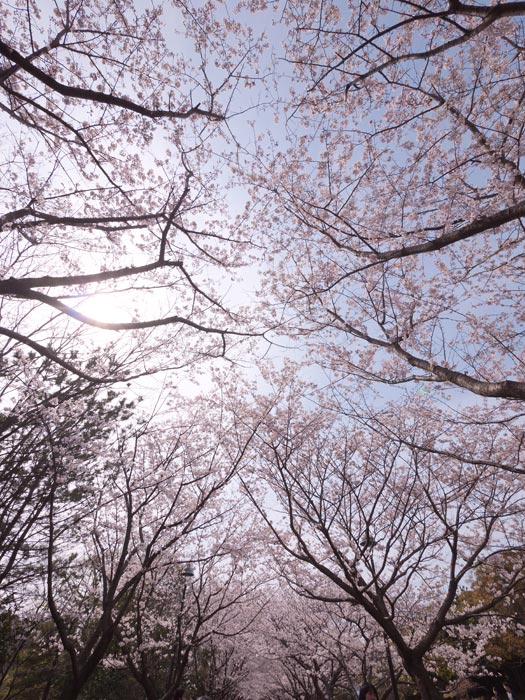 ファイル 2242-3.jpg