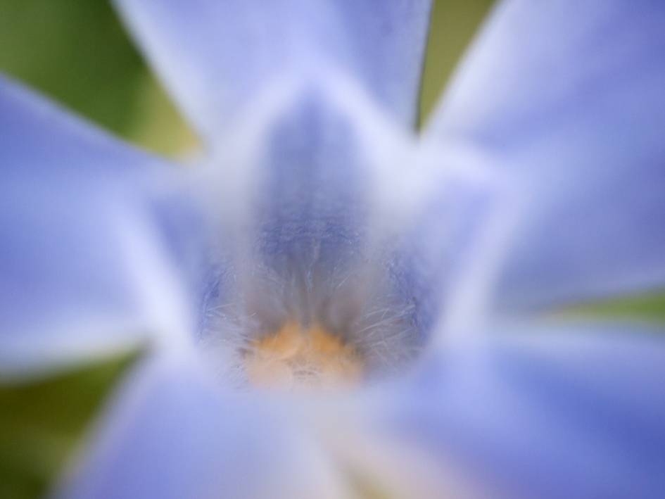 ファイル 2250-2.jpg