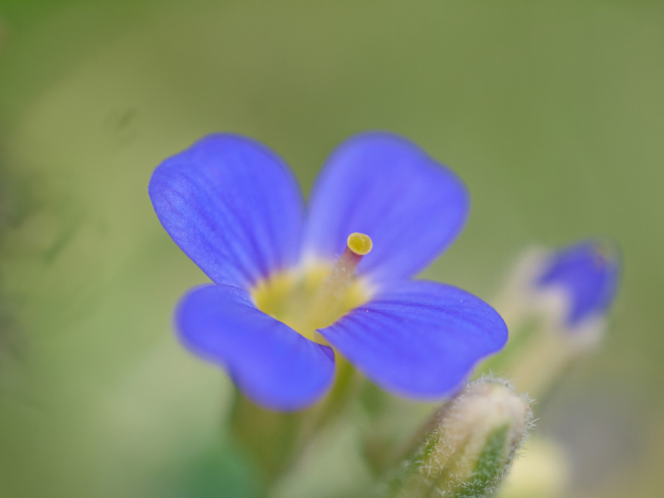 ファイル 2250-3.jpg