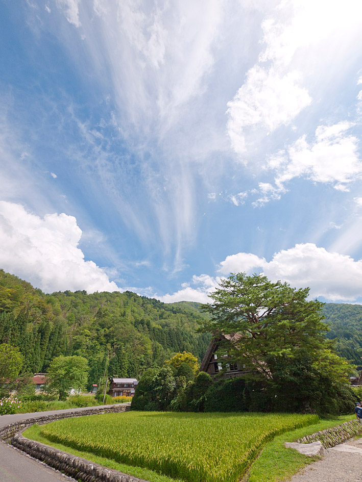 ファイル 2315-2.jpg