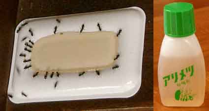 ファイル 233-1.jpg