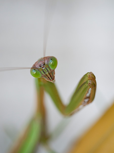 ファイル 2337-4.jpg