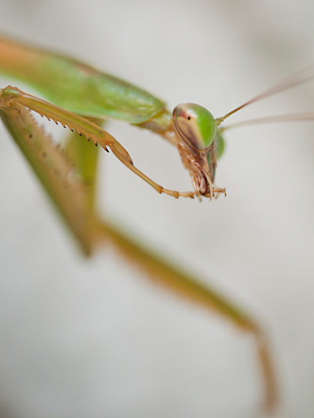 ファイル 2337-5.jpg