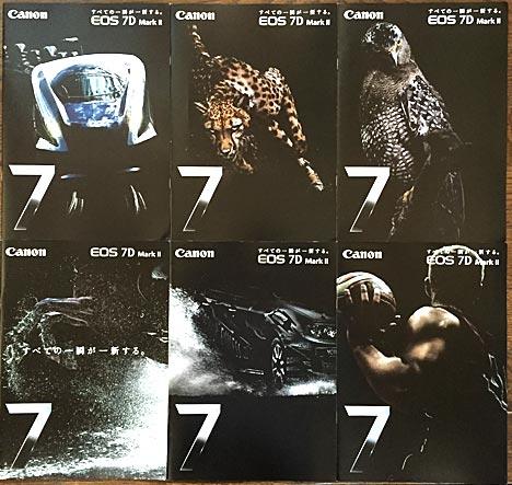 ファイル 2353-2.jpg