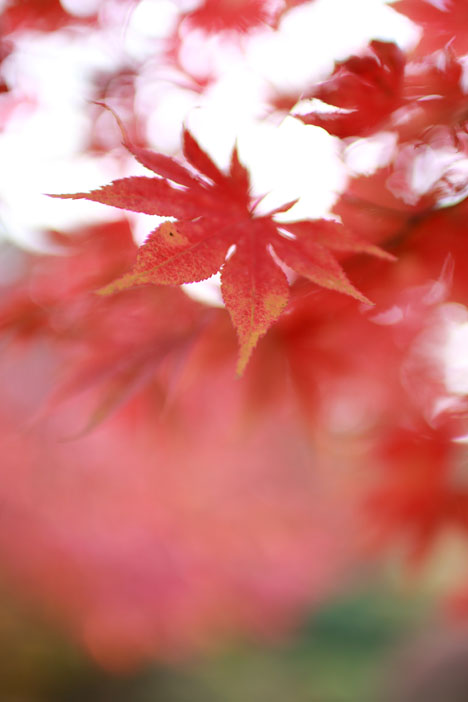 ファイル 2353-5.jpg