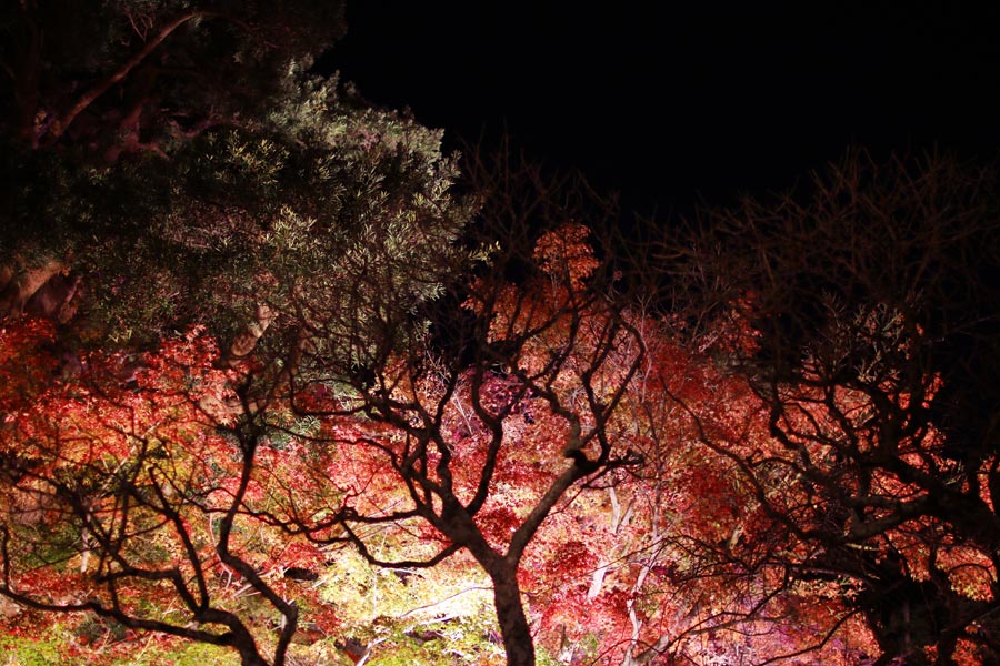 ファイル 2363-4.jpg