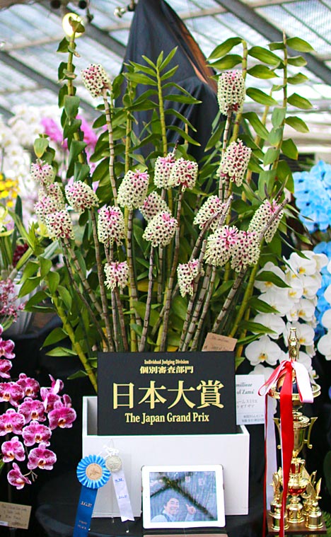 ファイル 2398-2.jpg