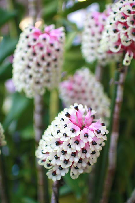 ファイル 2398-3.jpg