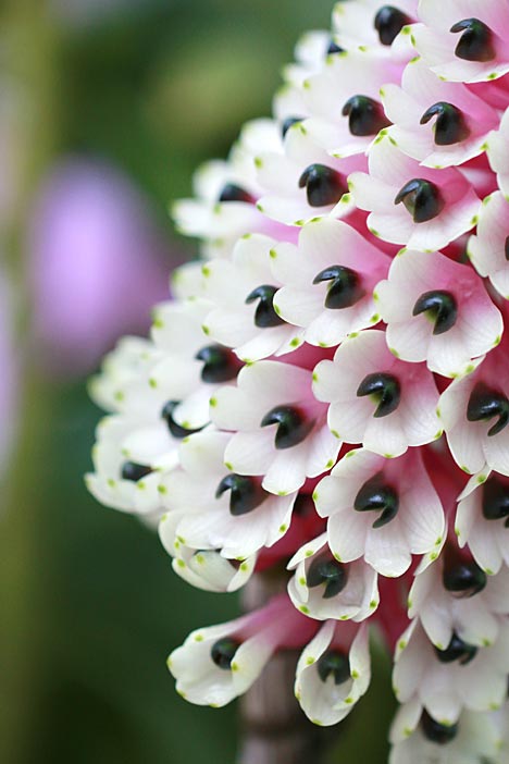 ファイル 2398-5.jpg